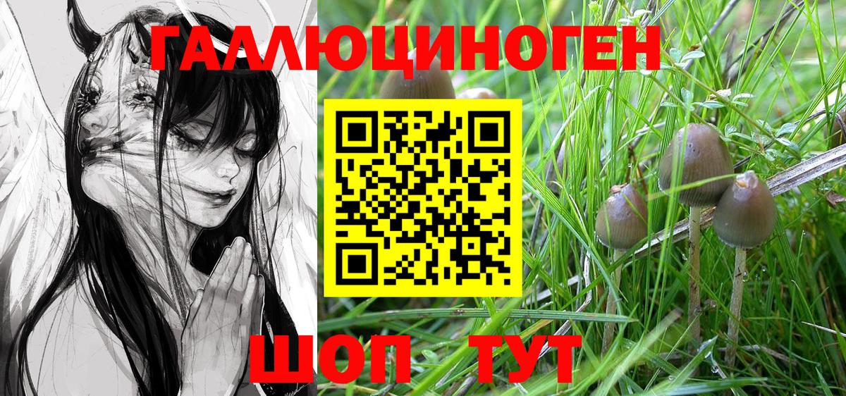 Галлюциногенные грибы Cubensis  Вход с VPN  Клин 