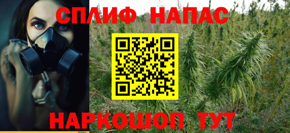 Марихуана гибрид Клин
